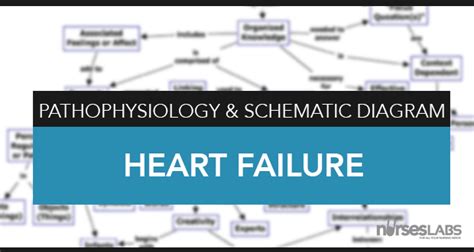 Heart Failure Nursing Care Management A Study Guide Nursing Care