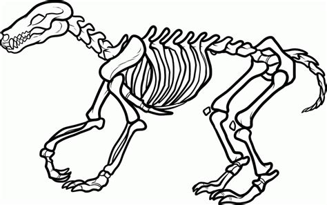 Dinosaur Skeleton Coloring Pages Coloring Home