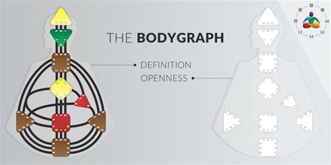 The Human Design Chart Bodygraph And Mandala