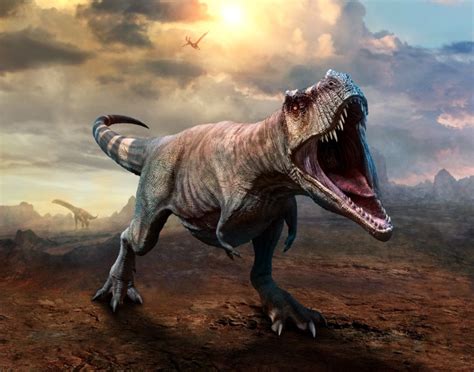 Características Del Tyrannosaurus Rex Tiranosaurio El Mayor
