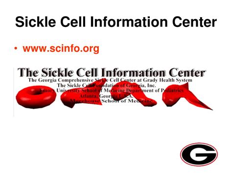 Ppt Sickle Cell Trait Powerpoint Presentation Free Download Id536912