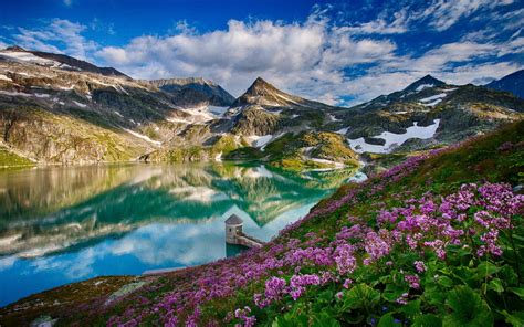 Landscape Mountain Lake Flowers Reflection Wallpapers