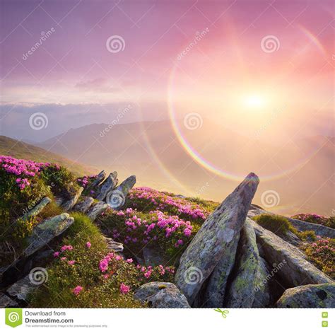 Summer Landscape With A Beautiful Sunrise And Mountain