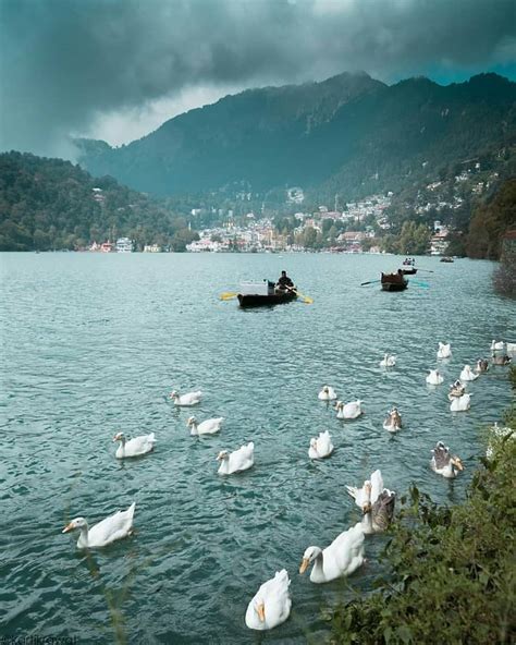 Everything About Nainital Lake The Kidney Shaped Lake Located At The
