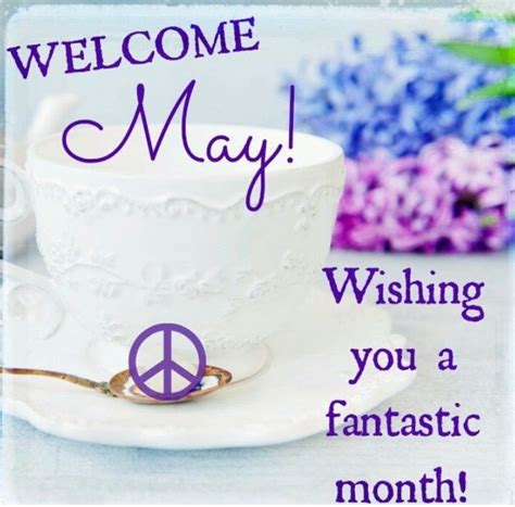 Welcome May Quotes Welcome May Hello May Quotes Hello May