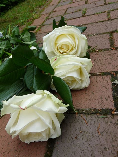 Wausau area obituaries, Aug. 19, 2019 - Wausau Pilot & Review