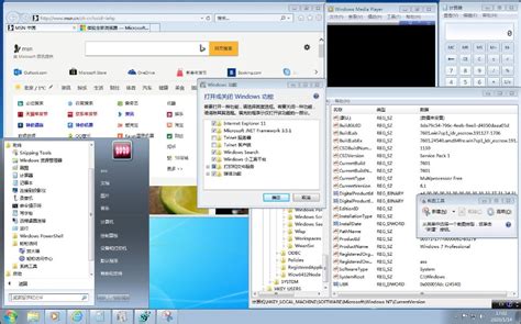 【lopatkin】Microsoft Windows 7 Professional SP1 7601.24540 x86-x64 ZH-CN ...