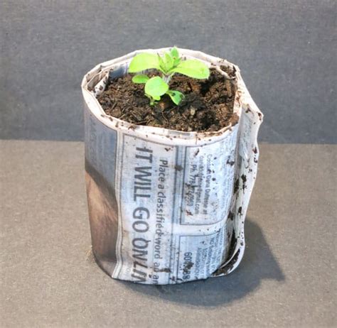 Easy Diy Newspaper Seedling Pots Puzzleheads Educational Products