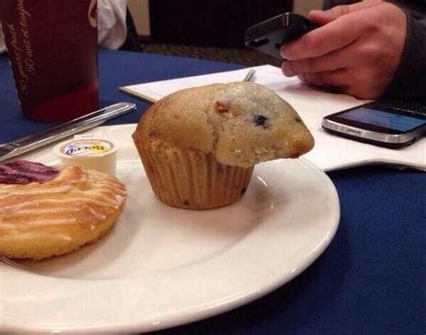 Someone Has Found A Muffin That Looks Exactly Like A Hamster