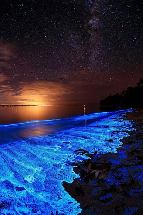 Bioluminescence Beach Wallpaper