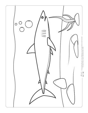 You all know that i love bright and colorful, but this printable was designed without a ton of color so that it doesn't use up all your colored ink and it gives your kiddos a ton of sea creatures to color in. Ocean Animals Coloring Pages for Kids - itsybitsyfun.com