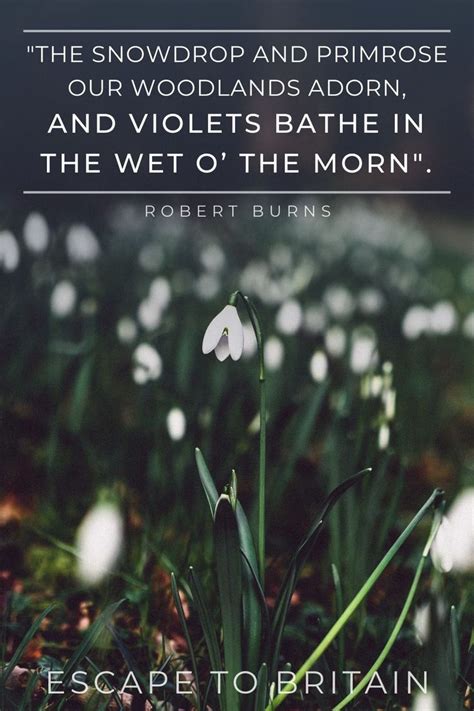 Ten Beautiful Snowdrop Quotes For The Early Spring Etb Spring