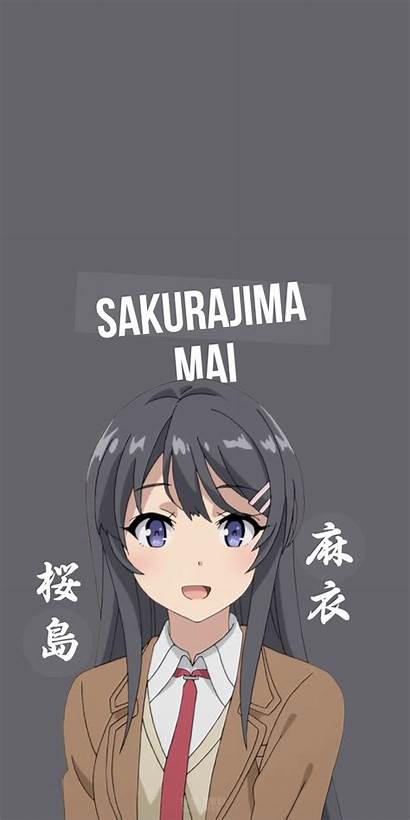 Sakurajima Mai Bunny Senpai Anime Aesthetic Seishun