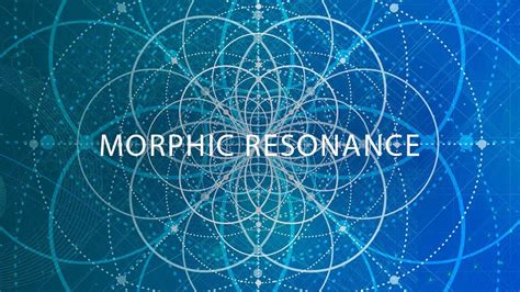 Morphic Resonance An Introduction Youtube