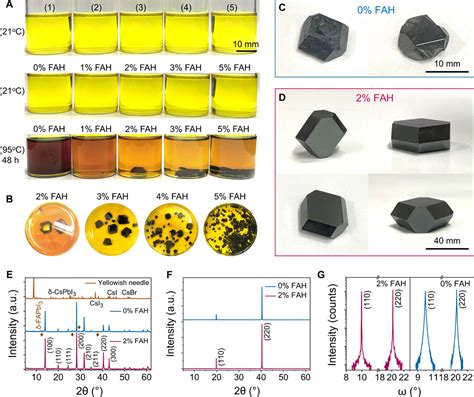 Inch Sized High Quality Perovskite Single Crystals By Suppressing Phase