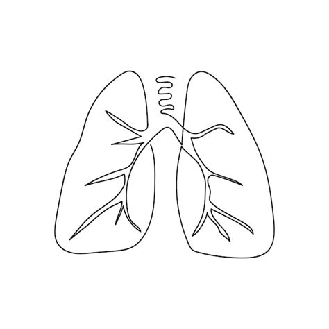 Premium Vector Lungs One Line Art Continuous Line Drawing Of Human