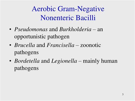 PPT Aerobic Gram Negative Nonenteric Bacilli PowerPoint Presentation ID