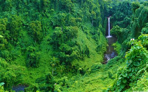 31 Rainforest Waterfall Wallpaper Wallpapersafari
