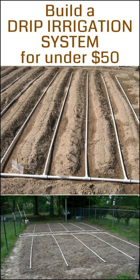 Need A Drip Irrigation System In Your Vegetable Garden Heres A Project