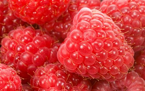 Wallpaper Red Raspberries Macro Photography Fruits Close Up 3840x2160