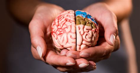 ¿conoces Las Enfermedades Que Afectan Tu Cerebro Veris Blog