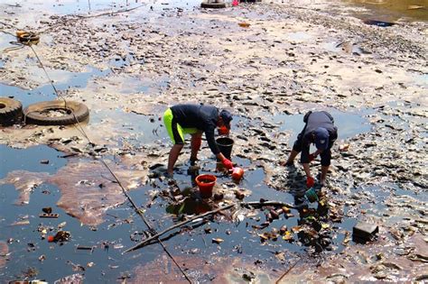 Tumpahan Minyak Pertamina Di Teluk Balikpapan Cemari 7000 Hektar Area