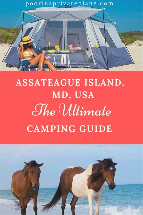 The Ultimate Guide To Camping On Assateague Island Assateague Island