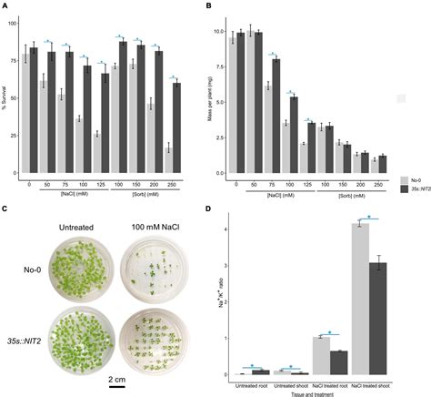 Frontiers Salt Specific Gene Expression Reveals Elevated Auxin Levels