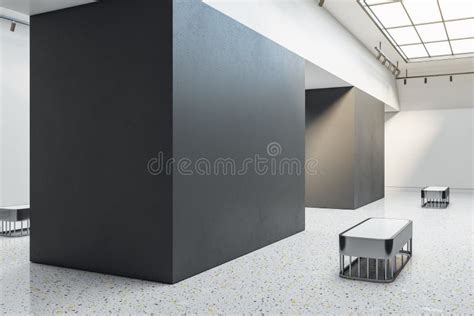 Bright Exhibition Hall Interior With Sunlight From Ceiling Window Mock