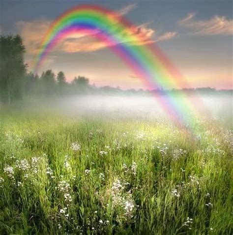 Most Beautiful Rainbows Pretty Rainbows Rainbow Skies Happy Colours