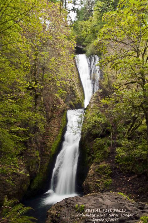 Bridal Veil Falls Columbia River Gorge Oregon Bridal Veil Falls