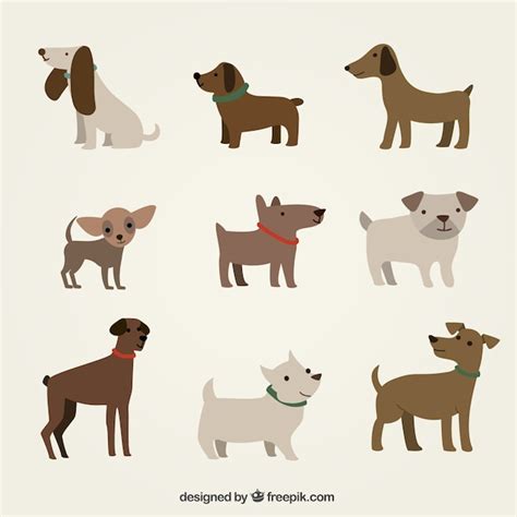 Free Vector Cute Dogs Illustration