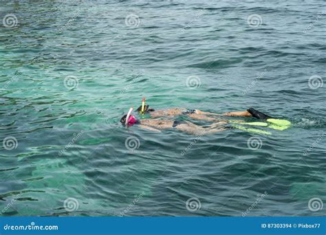 Snorkeling In Clear Blue Water Of Tropical Sea Stock Photo Image Of