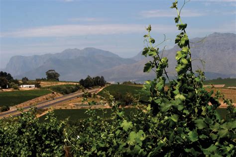 South Africa Wine Tours Cape Town Hayes And Jarvis Holidays