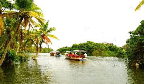 Top 10 Best Backwaters Of Kerala That Offer Much More Than Beauty And Tranquillity Iris Holidays