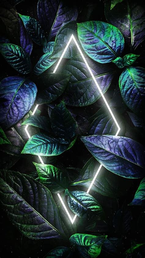 Neon Nature Plants Wallpaper Download Mobcup