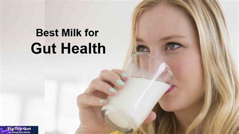 Best Milk For Gut Health 5 Healthiest Milks For Gut Health