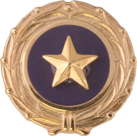 Gold Star Act Of Congress Lapel Pin Us Military