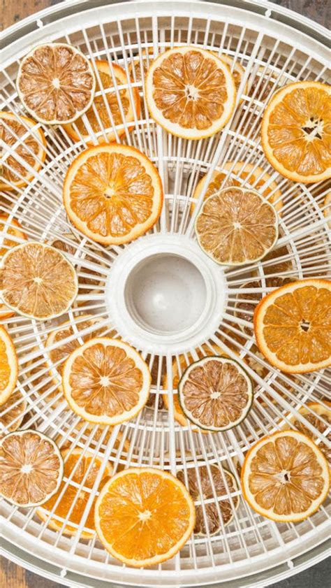 How To Dehydrate Citrus Slices Lemons Limes Oranges
