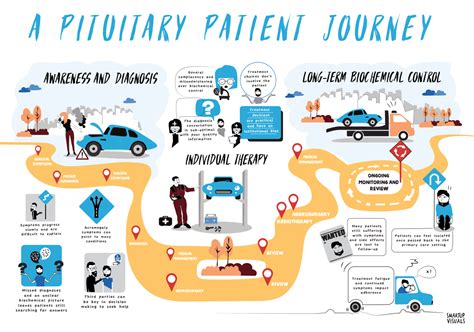 Infographic User Journey Map