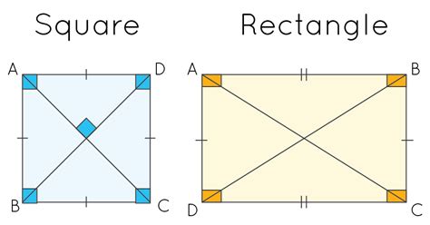 Difference Between A Square And A Rectangle Similarities En