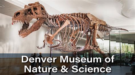Denver Museum Of Nature And Science Denver Colorado Youtube