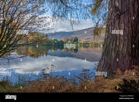 Autumn Aviemore Scotland Highlands Scottish Hi Res Stock Photography