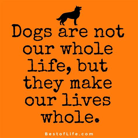 Sweet Dog Quotes About Love The Best Of Life