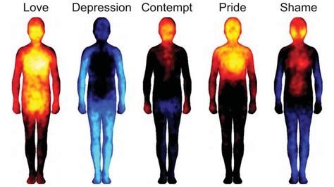 mapping emotions on the body love makes us warm all over shots health news npr