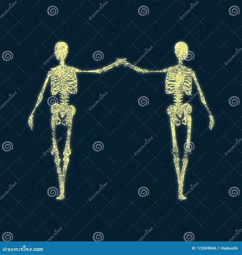 Halloween Human Skeleton Stock Illustration Illustration Of Horror