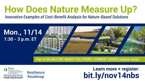 How Does Nature Measure Up Innovative Examples Of Cost Benefit