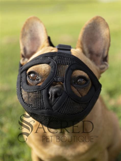Short Snout Dog Muzzle For Brachycephalic Dogs Sacred Pet Boutique