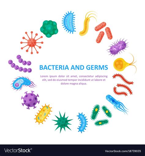 Bacteria And Germs Round Set Royalty Free Vector Image