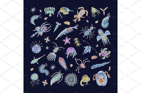 Plankton Vector Aquatic Plankton Graphic Design Art Illustration Art